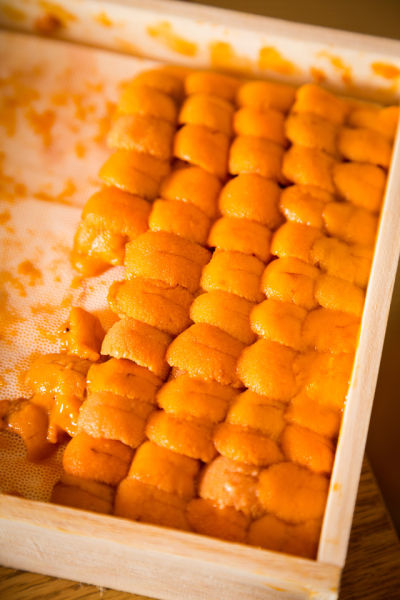 火狐电竞官方网站