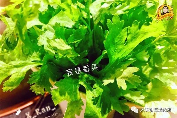 如何写好综述文章?|火狐电竞官方网站(图1) 火狐电竞官网