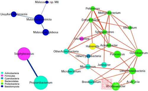 非洲经济一体化战略:中非经贸合作新机遇:火狐电竞(图1) 火狐电竞