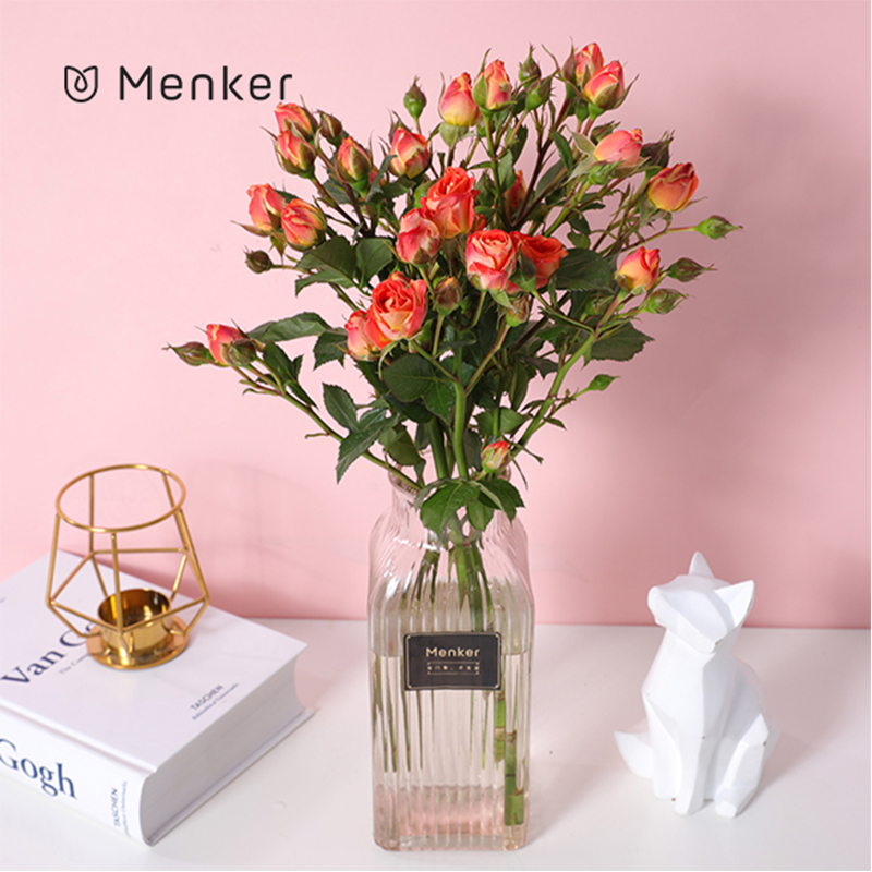 论农业标准化——南汇区农业标准化问题探析(jjx10):火狐电竞官方网站(图1) 火狐电竞官网