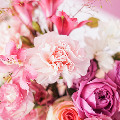 火狐电竞官方网站