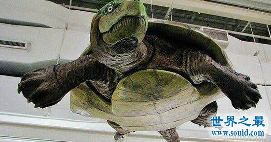 “火狐电竞官方网站”金英光有望出演《9号房间》 或将合作与演员金喜善(图3) 火狐电竞官网