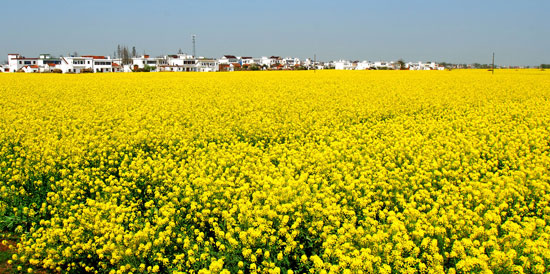 火狐电竞官方网站