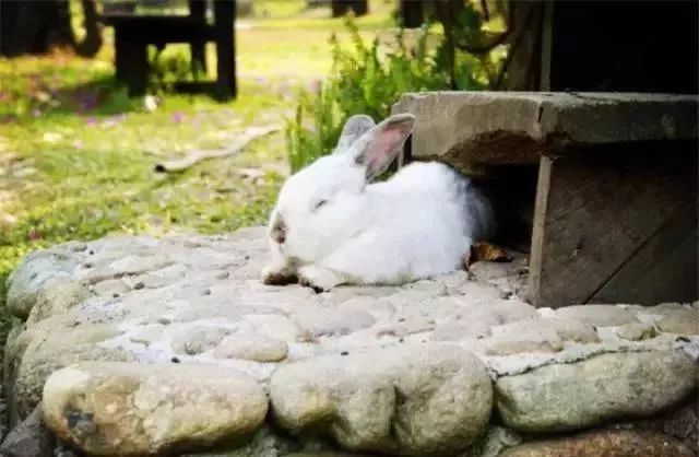 火狐电竞官方网站