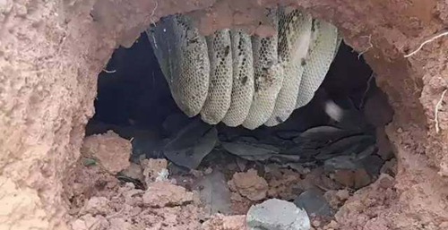 火狐电竞官方网站