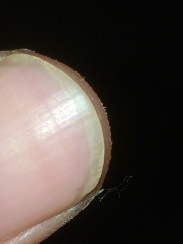 火狐电竞官方网站