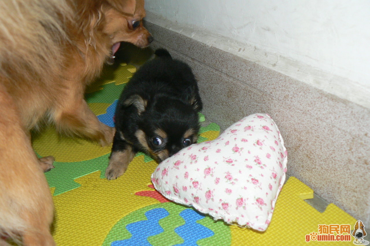 火狐电竞官方网站